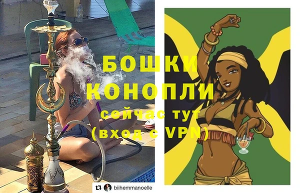 дмт Краснослободск
