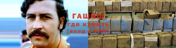 дмт Краснослободск
