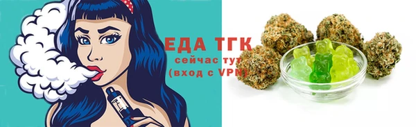 дмт Краснослободск