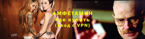 дмт Краснослободск