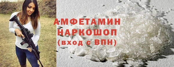 дмт Краснослободск