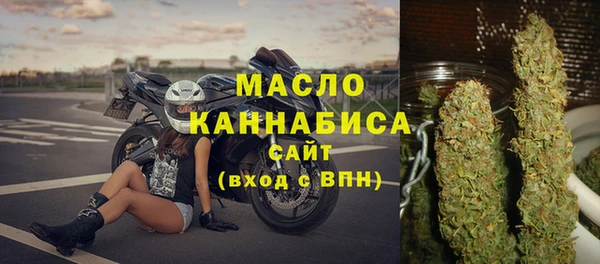дмт Краснослободск