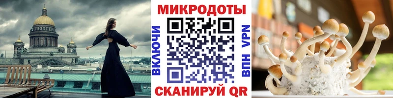 Псилоцибиновые грибы прущие грибы Сысерть