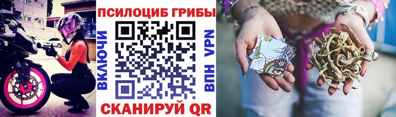 Галлюциногенные грибы GOLDEN TEACHER  Купить где  Сысерть 